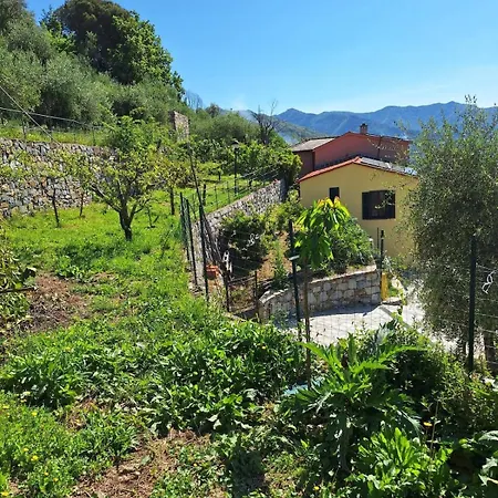 Ferienhaus Hillside Haven - Sea View Retreat With Pool Access *